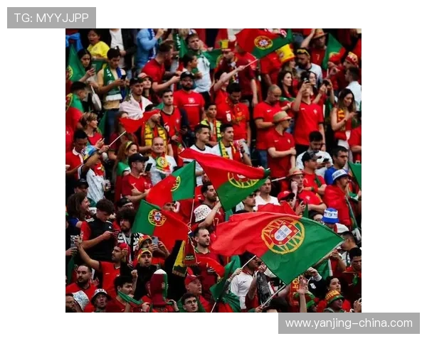 2010年葡萄牙足球明星的辉煌瞬间与传奇故事回顾