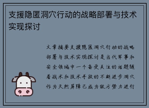 支援隐匿洞穴行动的战略部署与技术实现探讨